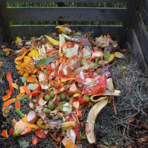 Kompost f&uuml;r alle &ndash; mit wenig Aufwand zu schwarzem Gold